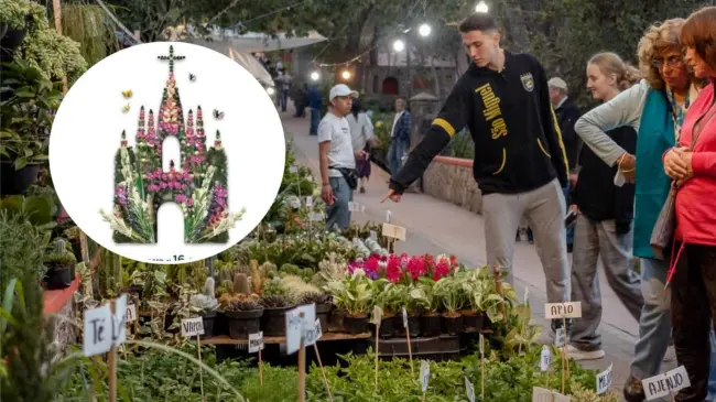 Ya está por iniciar la Feria de la Candelaria 2025 de San Miguel Allede. Foto: Cortesía