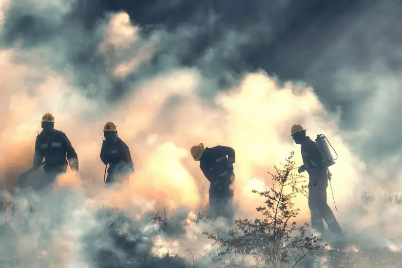 Incendio forestal en Baja California.