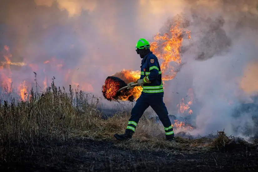 Incendio forestales en Baja California.