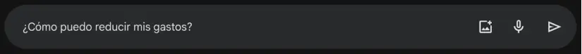 Instrucción: Pedir Consejos para reducir gastos. Gemini.