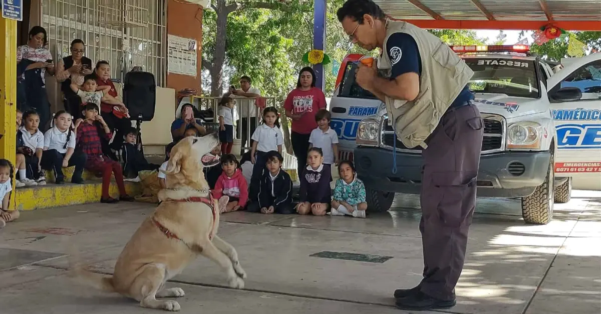 Alumnos del Jardín de Niños José Vasconcelos en Culiacán aprenden sobre prevención de emergencias