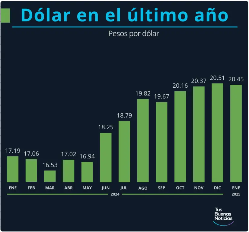 Dólar en el último año. Gráfico. TBN.