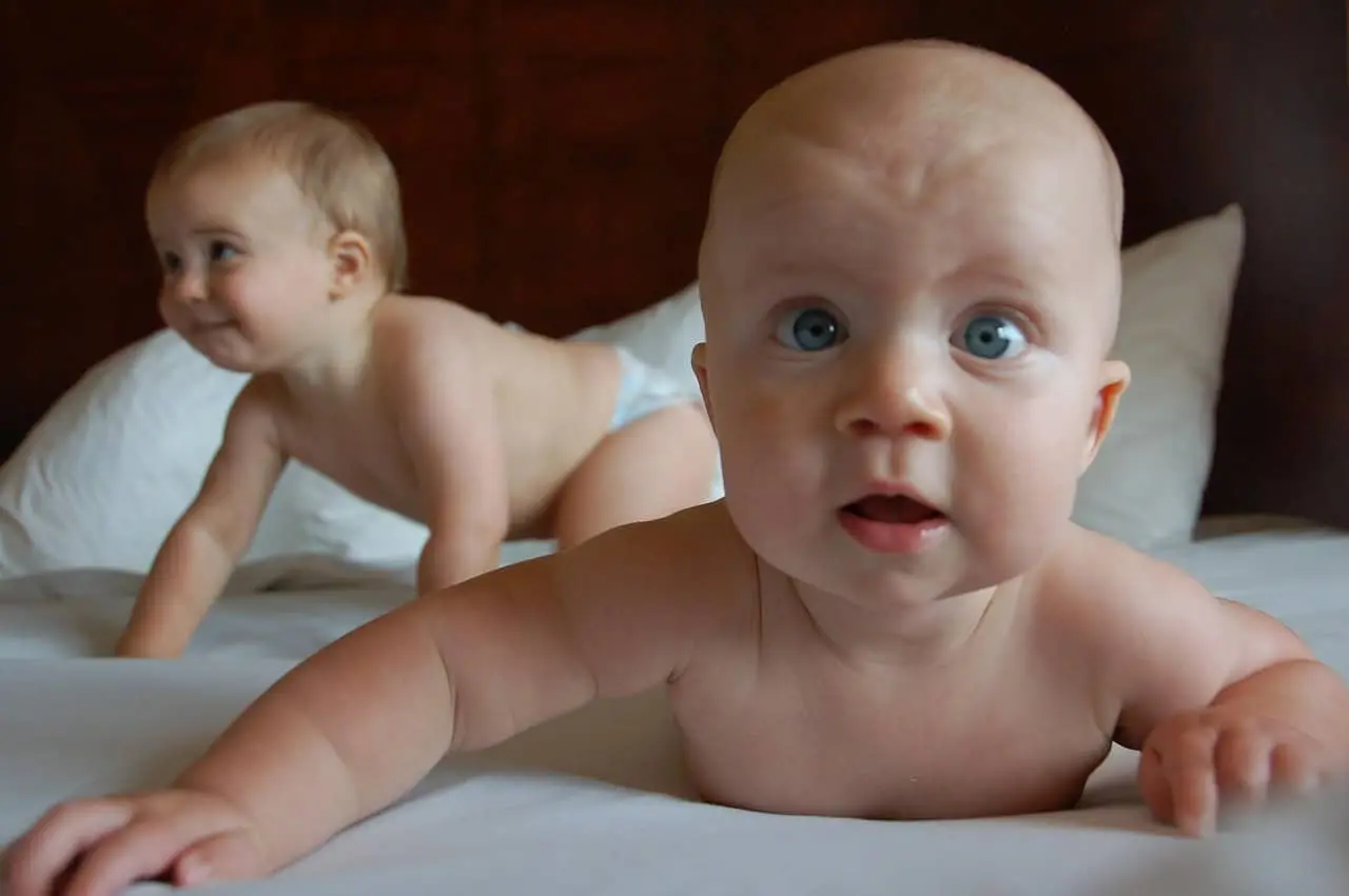 Bebés. Foto. Pixabay.