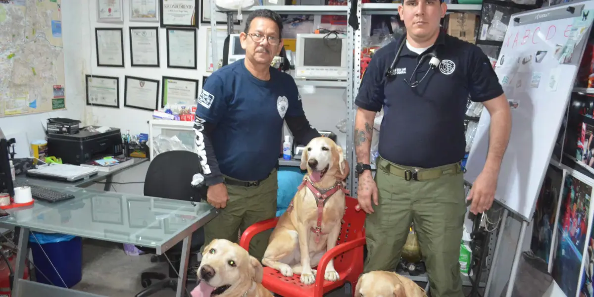 Thor y Aria, los nuevos héroes de GERUM, comienzan su entrenamiento para participar en operaciones de rescate y prevención de emergencias. Su integración fortalecerá el equipo de rescate en Sinaloa. Foto: Juan Madrigal