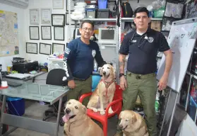 GERUM Culiacán recibe a Thor y Aria, gracias a la generosidad de la familia Espinosa Cháidez