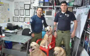 GERUM Culiacán recibe a Thor y Aria, gracias a la generosidad de la familia Espinosa Cháidez