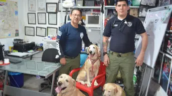 GERUM Culiacán recibe a Thor y Aria, gracias a la generosidad de la familia Espinosa Cháidez