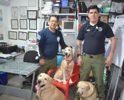 GERUM Culiacán recibe a Thor y Aria, gracias a la generosidad de la familia Espinosa Cháidez