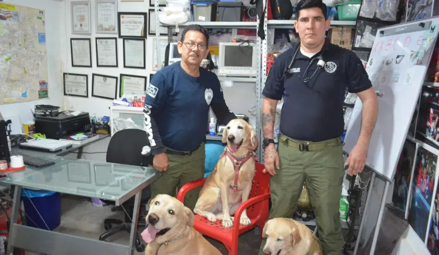 Thor y Aria, los nuevos héroes de GERUM, comienzan su entrenamiento para participar en operaciones de rescate y prevención de emergencias. Su integración fortalecerá el equipo de rescate en Sinaloa. Foto: Juan Madrigal