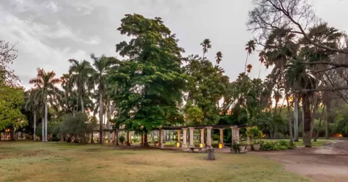 Descubre la biodiversidad del Parque Sinaloa en Los Mochis