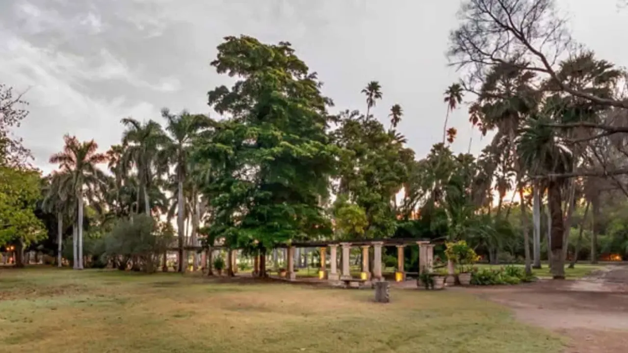 El Parque Sinaloa es uno de los jardines botánicos más extensos en el país. Foto: Cortesía.