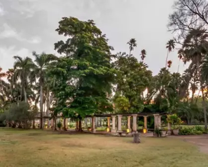 Descubre la biodiversidad del Parque Sinaloa en Los Mochis