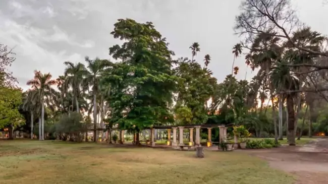 El Parque Sinaloa es uno de los jardines botánicos más extensos en el país. Foto: Cortesía.