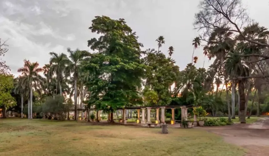 El Parque Sinaloa es uno de los jardines botánicos más extensos en el país. Foto: Cortesía.