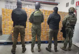 Golpe al narco en Baja California: aseguran droga valuada en más de 1,200 millones de pesos