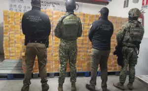 Golpe al narco en Baja California: aseguran droga valuada en más de 1,200 millones de pesos