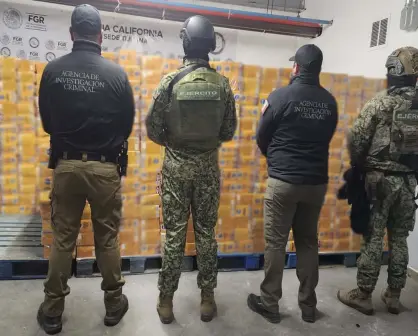 Golpe al narco en Baja California: aseguran droga valuada en más de 1,200 millones de pesos