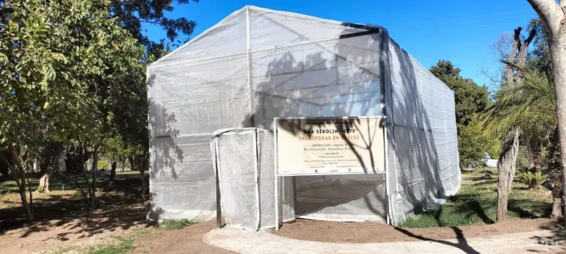 Mariposario en La Esperanza, Angostura