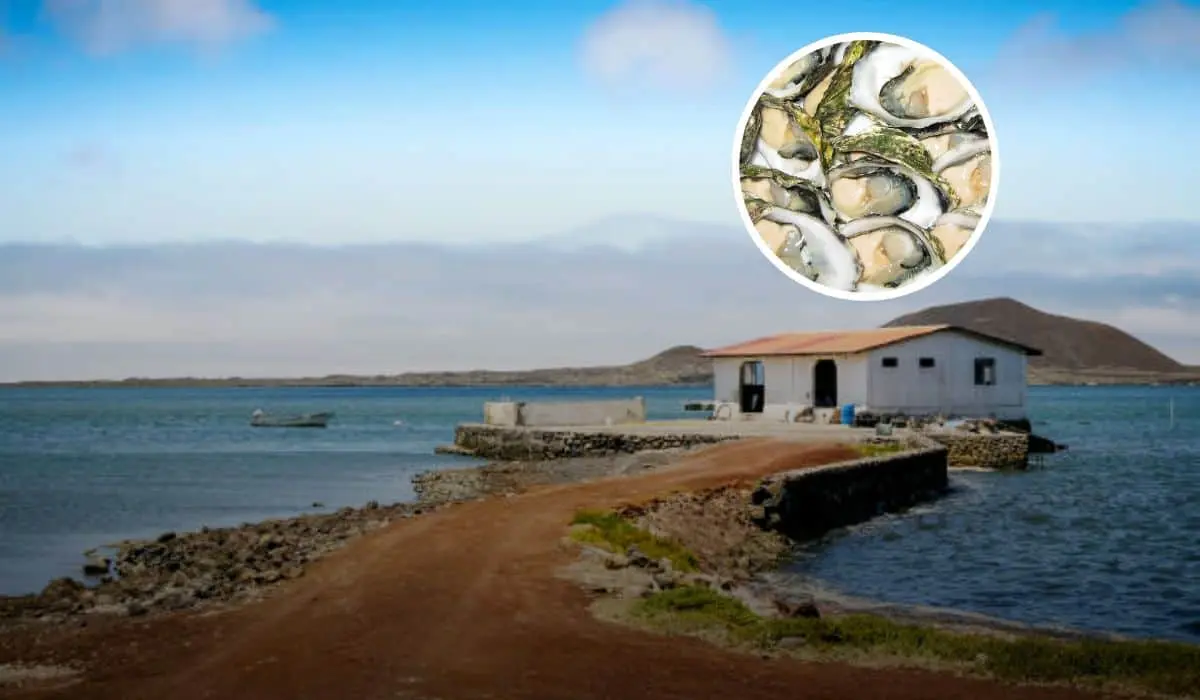 Este es San Quintín, la joya que se encuentra en Baja California. Foto: iStock.