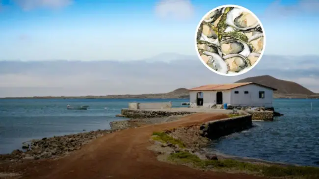 Este es San Quintín, la joya que se encuentra en Baja California. Foto: iStock.
