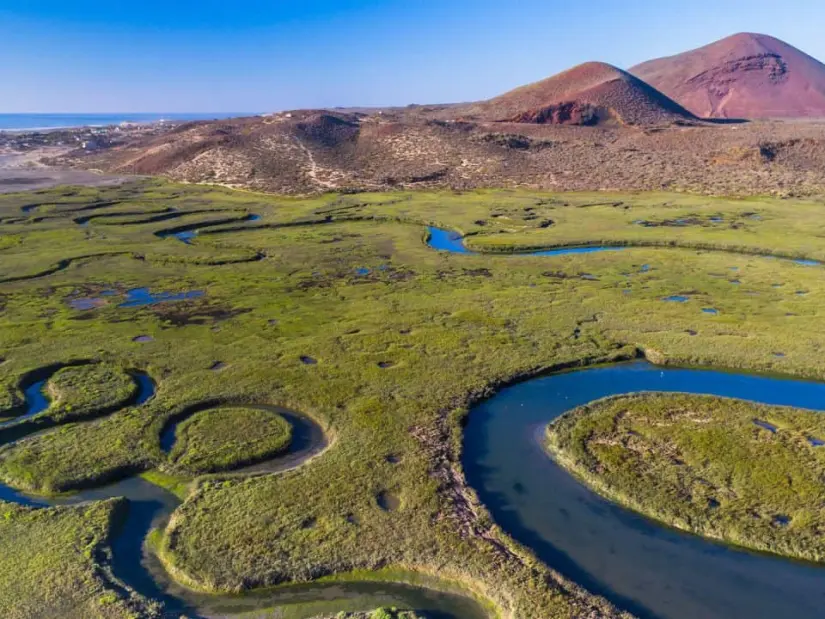 Disfruta de la belleza natural que posee San Quintín. Foto: Baja California Travel.