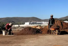 Ladrilleros de Loma de Rodriguera: Un oficio artesanal que trasciende generaciones en Culiacán