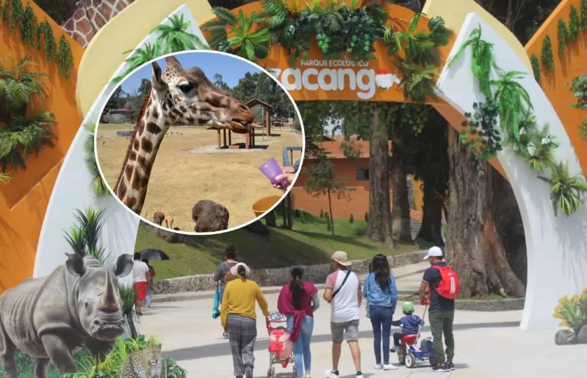 Visita el fin de semana el Parque Ecológico Zacango. Foto: Cortesía