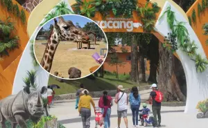 ¿Cuánto cuesta la entrada al Parque Ecológico Zacango, en Estado de México y horarios?