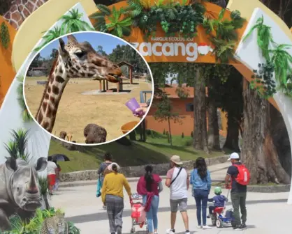 ¿Cuánto cuesta la entrada al Parque Ecológico Zacango, en Estado de México y horarios?