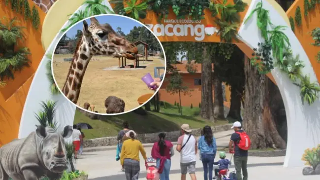 Visita el fin de semana el Parque Ecológico Zacango. Foto: Cortesía