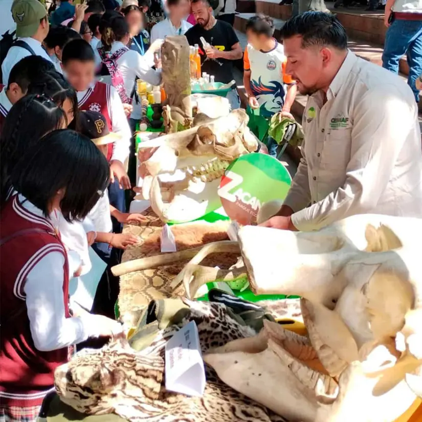 Talleres en el Parque Ecológico Zacango. Foto: Cortesía