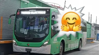 Así puedes viajar gratis en el transporte público en Nuevo León, y no hay que hacer ninguna fila