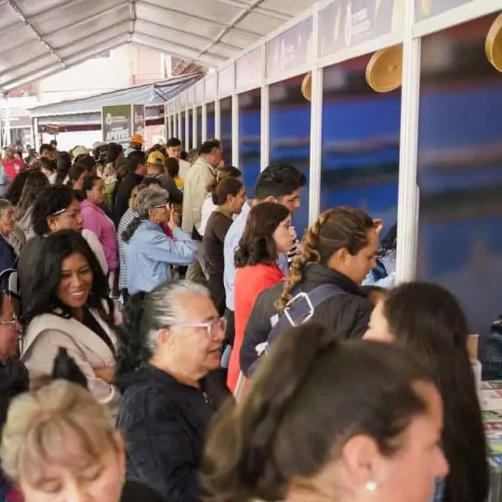 Solicitud de Apoyos Tú Puedes Guanajuato. Foto: Cortesía