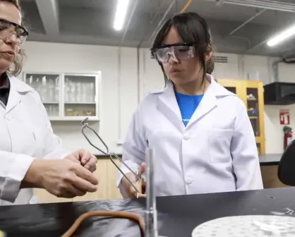 Aumenta 51% participación de mujeres en la ciencia sinaloense