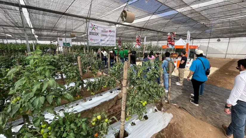 Ya inició la Expo Agro Sinaloa 2025. Foto: Lino Ceballlos