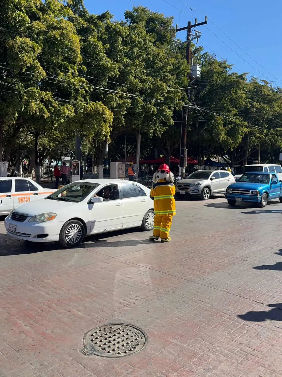 El boteo dio inicio en las principales calles de la ciudad. Foto; Cortesía.