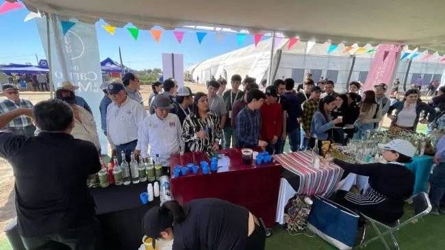 Asistencia Récord en primer día de la Expo Agro Sinaloa 2025