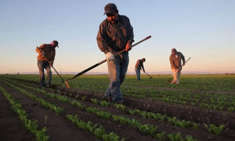 Jornada laboral de 40 horas en México: ¿Ya fue aprobada? 