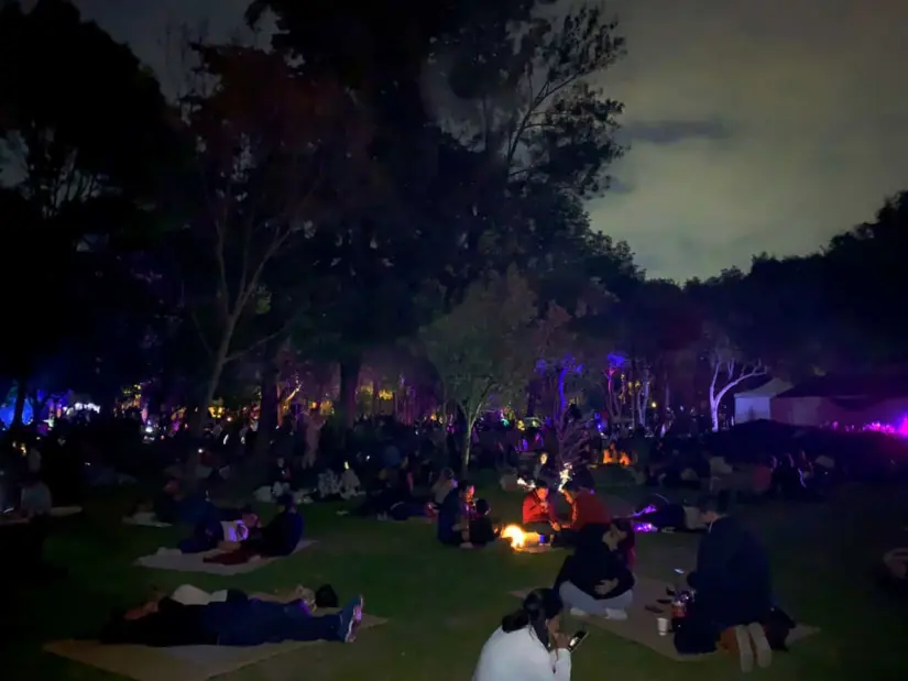 Vive la experiencia de un picnic nocturno en CDMX. Foto: Sedema - CDMX. 