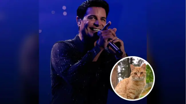 Apoya llevando croquetas al concierto de Chayanne