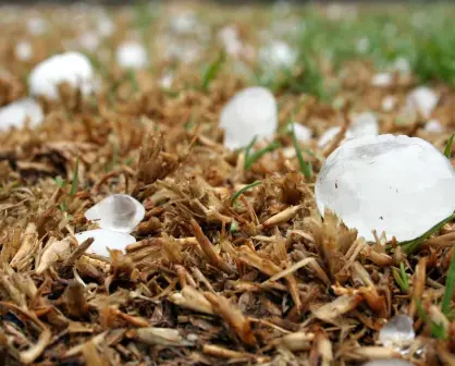 Alerta de granizo en CDMX y Edomex para hoy lunes 17 de febrero; autoridades emiten recomendaciones