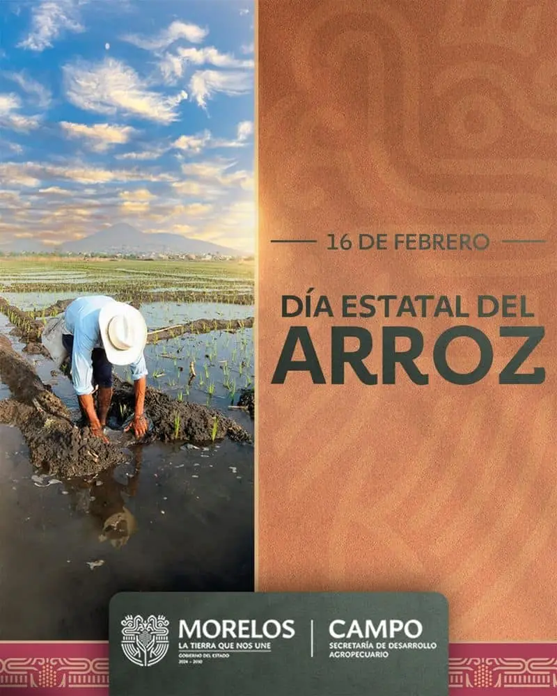 16 de febrero