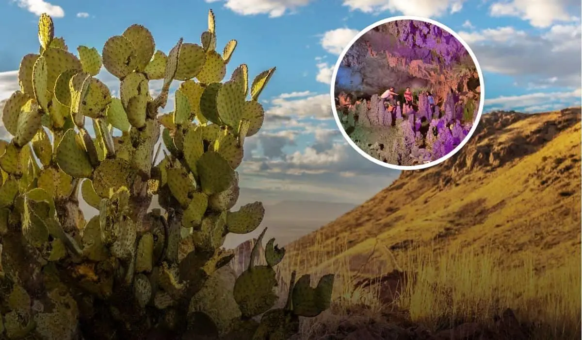 Estas son las cavernas que se encuentran en Chihuahua. Foto: Gobierno de México.