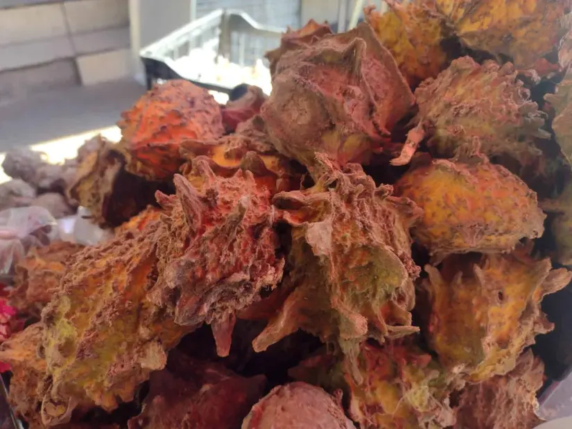 Los papaches es uno de los frutos más buscados en el puesto de Claudia Loera en el Mercadito Buelna.