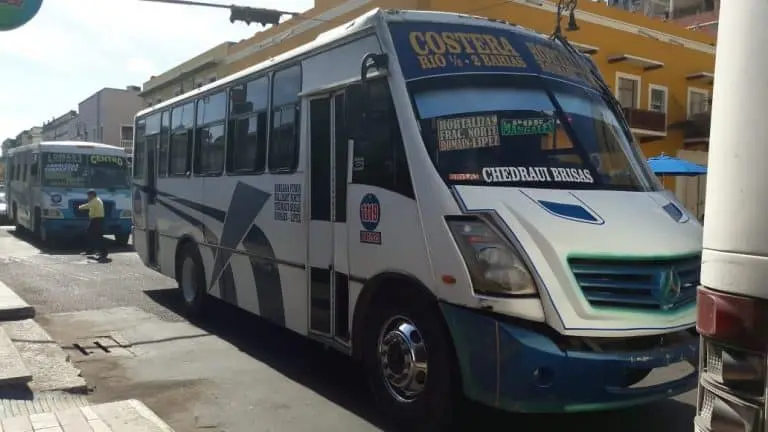 Camiones que no se encuentran por el momento circulando en Veracruz. Foto: Cortesía