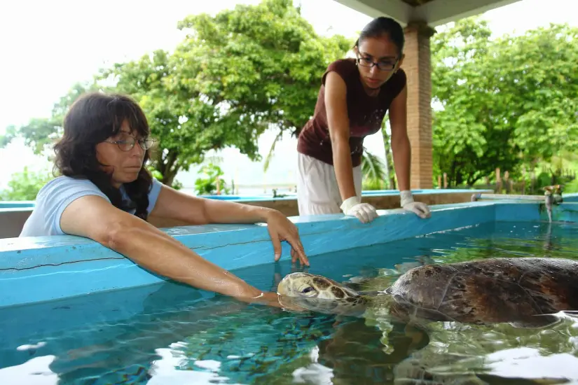 Vive una experiencia única e inigualable en el Centro Mexicano de la Tortuga. Foto: CONANP-Centro Mexicano de la Tortuga. 