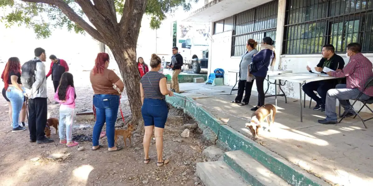 Aprovecha la esterilización gratuita para tu mascota en la Unidad DIF de El Vallado en Culiacán.