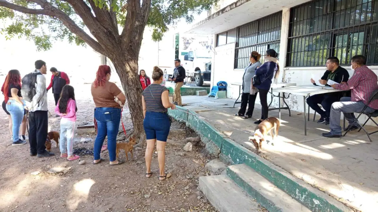 Aprovecha la esterilización gratuita para tu mascota en la Unidad DIF de El Vallado en Culiacán.