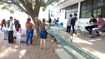 Campaña Gratuita de esterilización de mascotas en la Unidad DIF de El Vallado en Culiacán