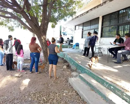 Campaña Gratuita de esterilización de mascotas en la Unidad DIF de El Vallado en Culiacán